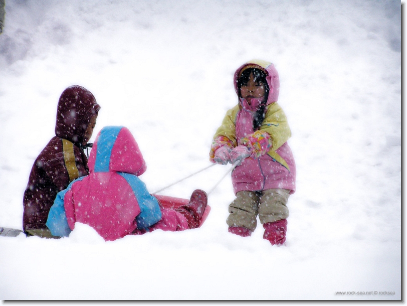 snow sliding at hokkaido university