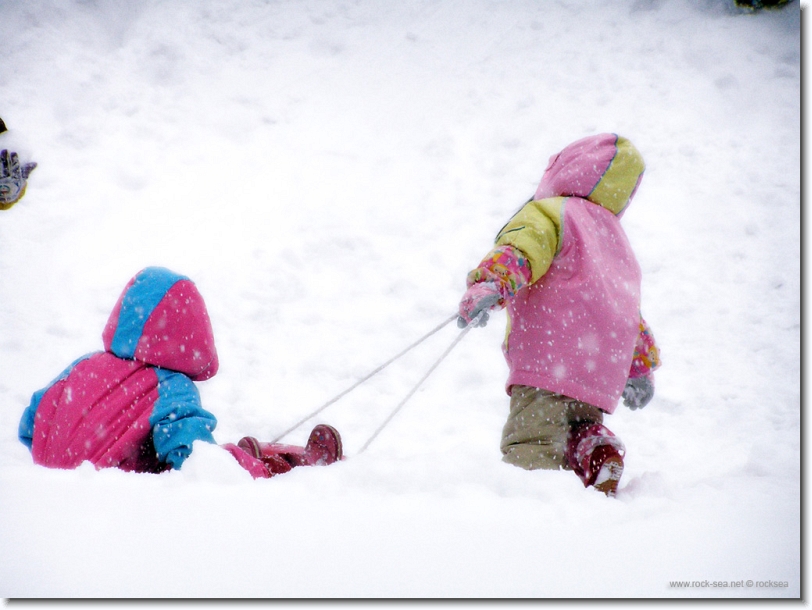 snow sliding at hokkaido university