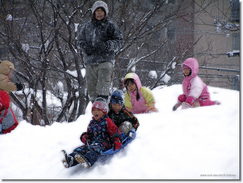 snow sliding at hokkaido university