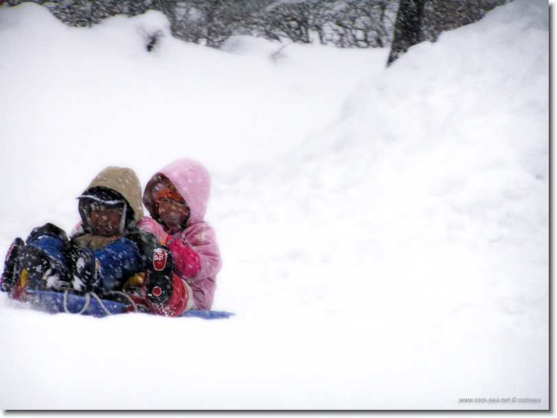 snow sliding at hokkaido university