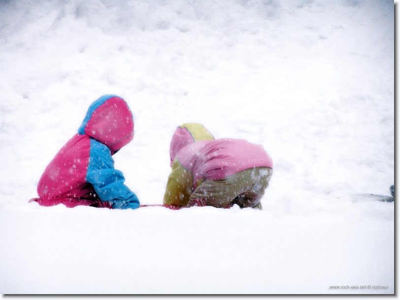 snow sliding at hokkaido university