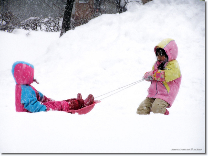 snow sliding at hokkaido university