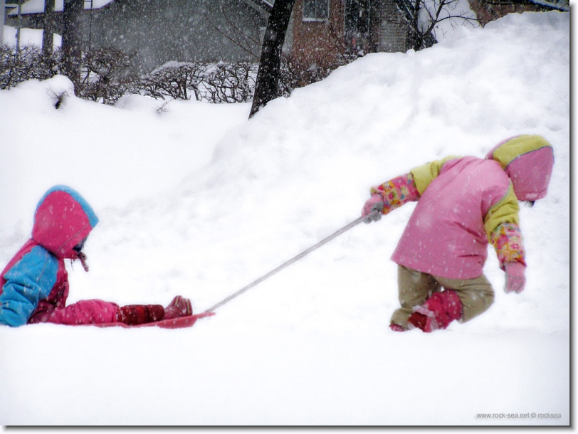 snow sliding at hokkaido university